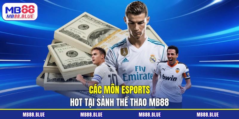 Thể Thao MB88 Hội Tụ Giải Đấu Lớn, Đặt Kèo Cực Mượt Mà - slot364.surf